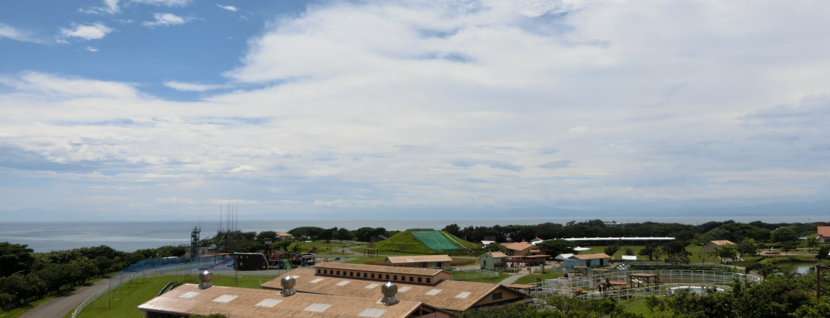 ���R�̌b�݂�̌��I���{��u����C�̎�����E�\���C���̋u�v�ŐS���ق�����I