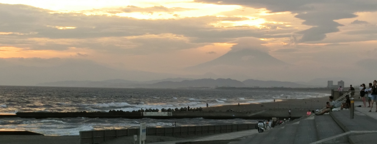 uÓC݌vŐiIɍg܂錶zI