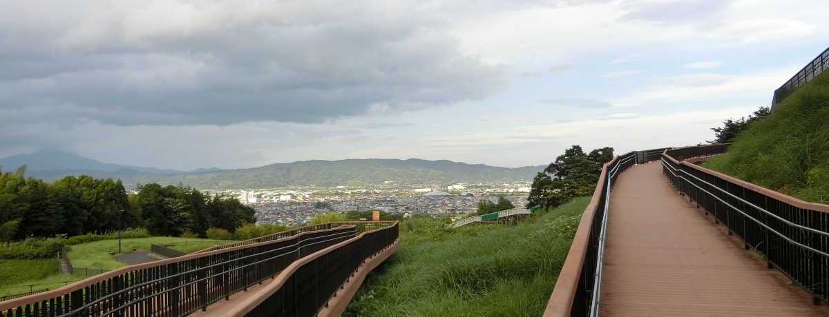 YȎR[̘[ŋCuI_ސuzǨv