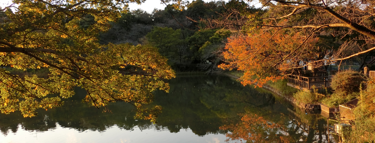 ٕ𗬂IRƕɈ܂ꂽluOcrv