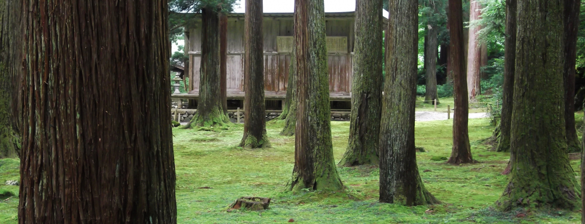 ͈p[X|bgIE򎛔R_ЂŌCɂȂ