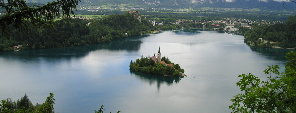 XxjÃ][gnIuAvX̓vubh