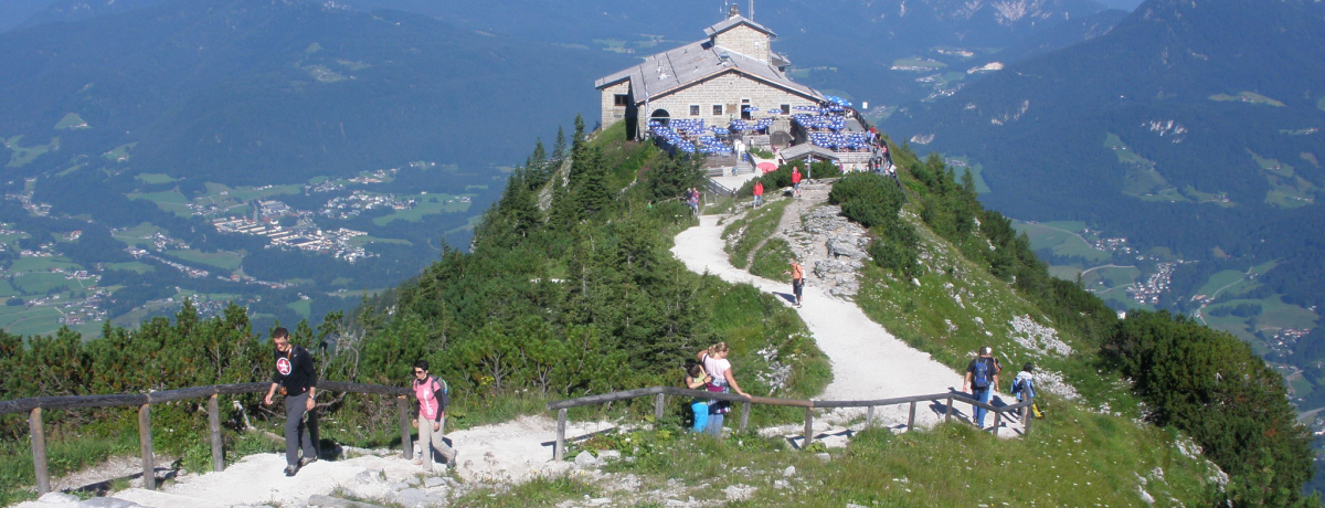 ��i����]����q�g���[�̎R���I�h�C�c�u�P�[���V���^�C���n�E�X�v