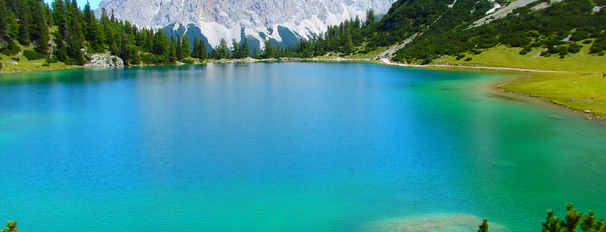 �h�C�c�ō���̘[�̓I�[�X�g���A�̕������Z�Ȓ����݁I�_��̌΂��I