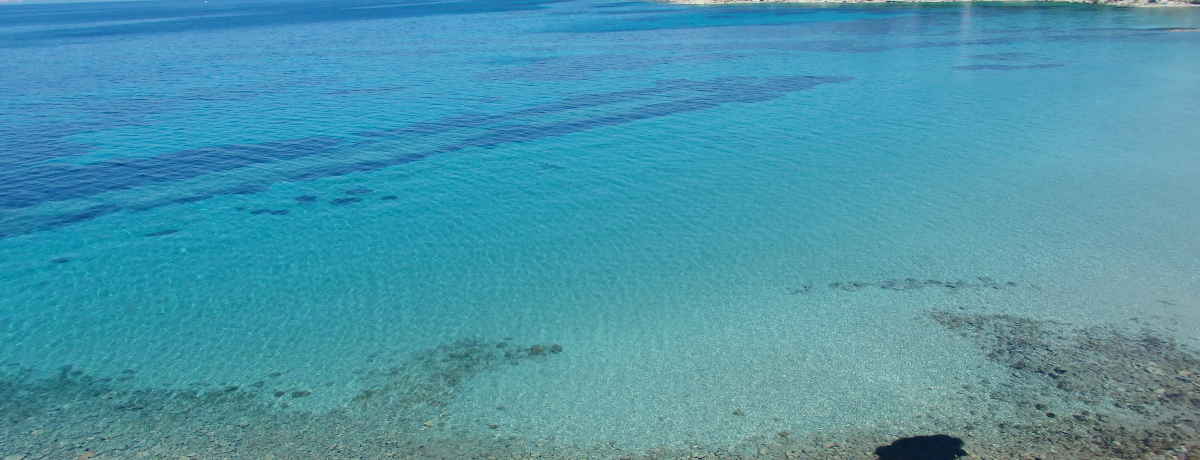 Aelߍx̃sEXAłiIG[QC̓X