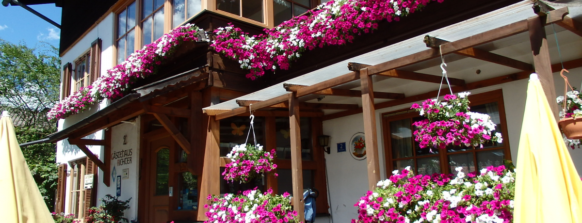 hCcEb̕ǉ悪̃T[rX_huq^[v