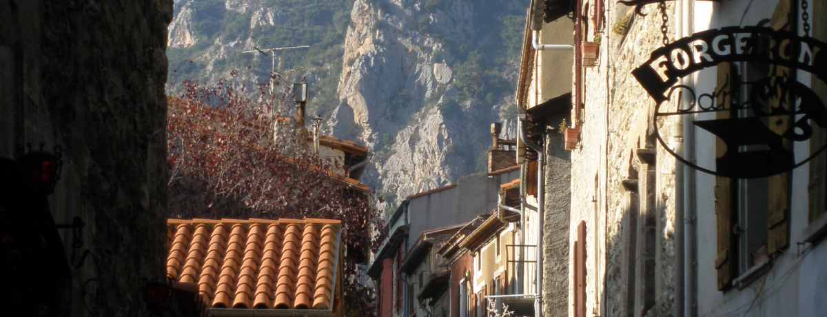 ���쐼���̗��j�����ǂƃ��B���t�����V���E�h�E�R���t�����̑��I�s���l�[�ւ̊ό���Ԏn���̒n