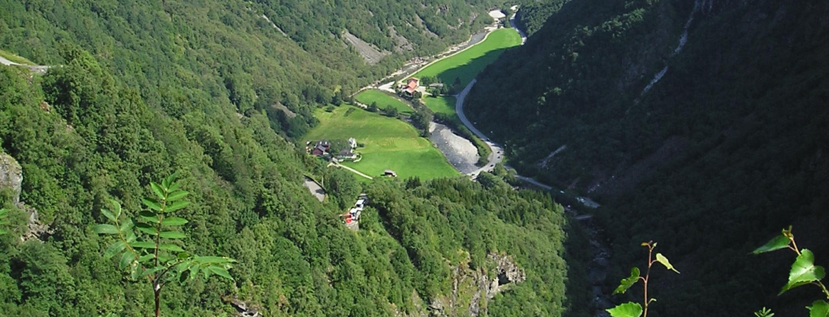 [bp{yōŒŐ[̃\OltBhImEF[̑\Iόn