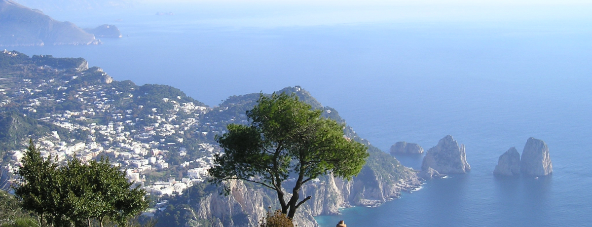 ̓AȂIɁEJv𖞋iłꏊSI