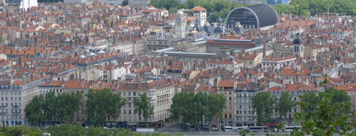 tXQ̓ssuv͐EYIuH̒v̌