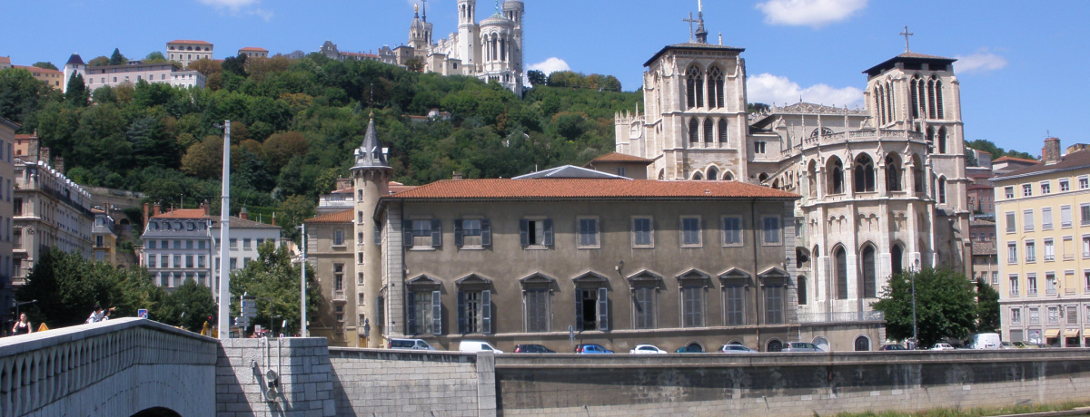 ���E��Y�������̒����݂������낷�u�m�[�g���_���E�h�E�t�����B�G�[���E�o�W���J�����v