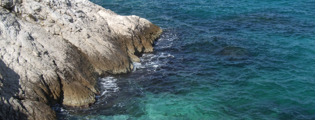 앧}ZCK鎩RƏՂ̐EIŌ̊yutEv