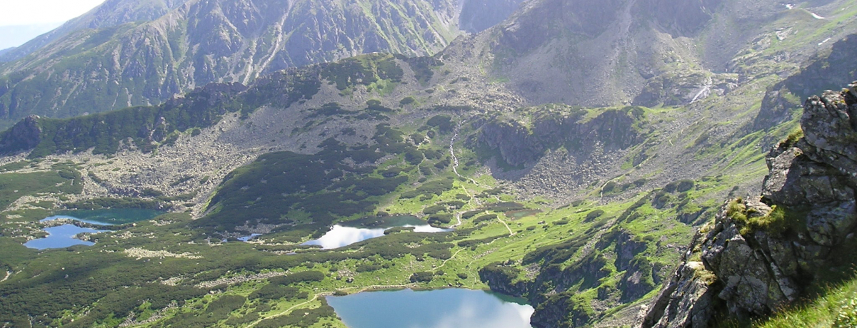 `IȌzƑ厩RI|[h̃][gnuURplv