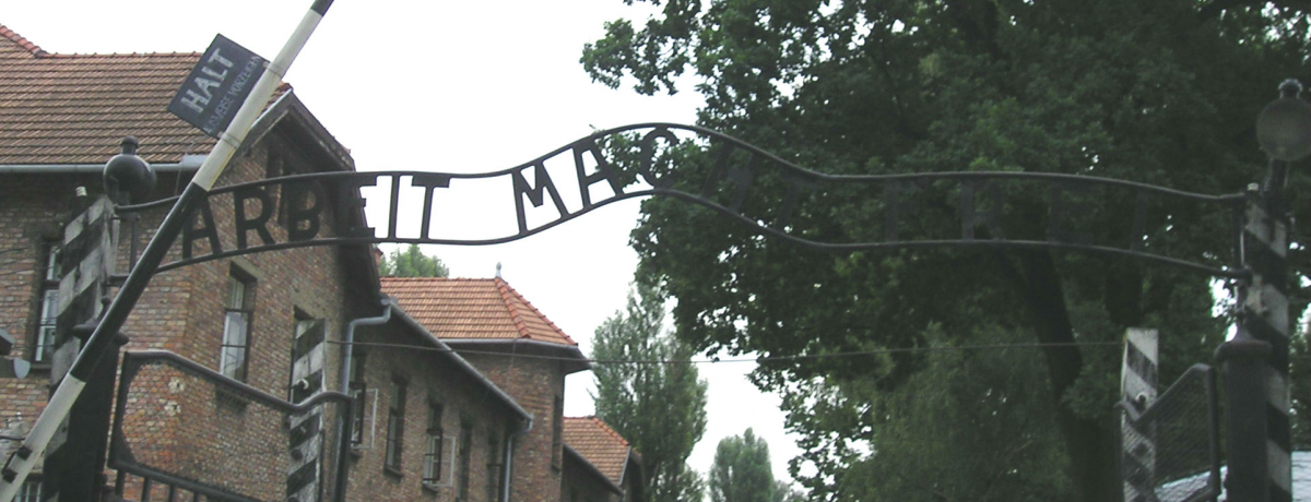 �l�ލő�̕��̈�Y�|�[�����h�u�A�E�V�����B�b�c�E�r���P�i�E�v�l���̏d�݂ƕ��a�̑���