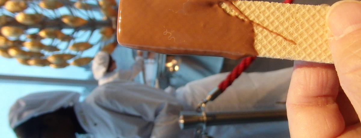 ���̃����c�̔����ق��h�C�c�ɁI�P�����u�`���R���[�g�����فv�͐��E�ő勉