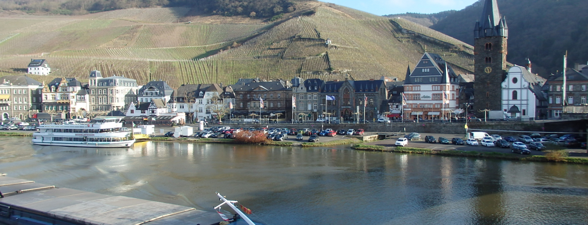 �h�C�c�E���[�[���͔Ȃ𖞋i�I�z�e���u�h�N�^�[ ���@�C���V���g���[�x���v