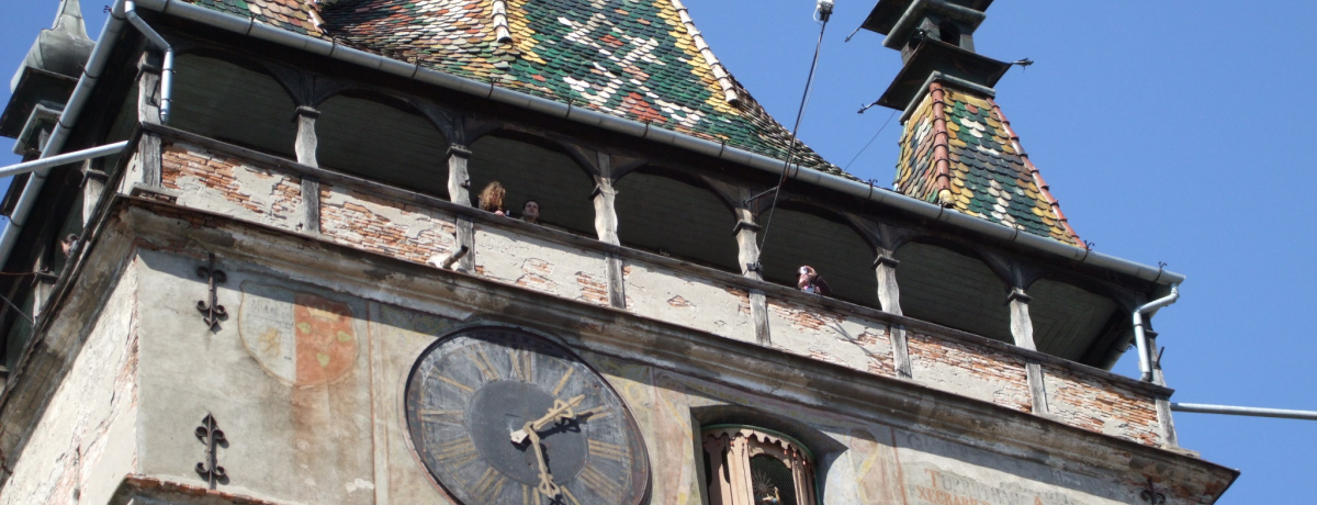 @Bd|́uvv̓[}jAEYVMVÃV{