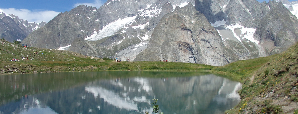 �܂�ŋ��̂悤�I�k�C�^���A�E�V�F�N���C�ΔȂŋt�������u����