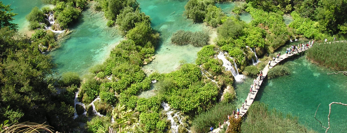 @Y畜INA`ÁuvgBcFΌQv