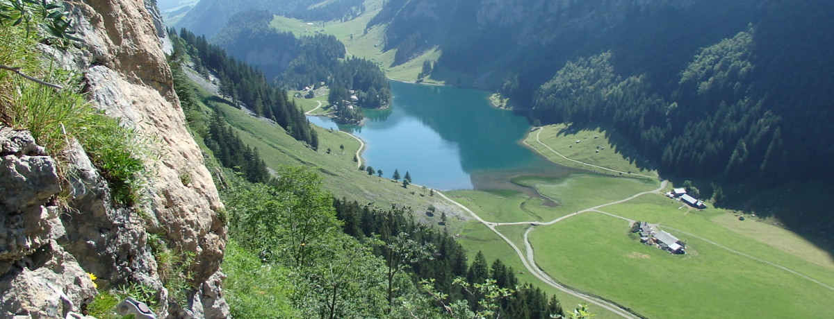 �X�C�X�E�A�b�y���c�F�����ɐ��ޔ鋫�[�[�A���v�΂֐�i�n�C�L���O