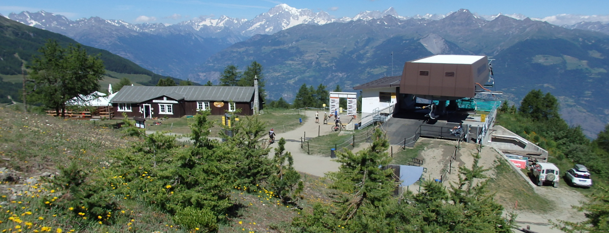 �k�ɂ̌Ós�A�I�X�^����K���u�s�[���R�v�ŃA���v�X�̖�������\