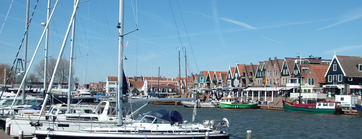 �u�t�H�[�����_���v�����݂������ߑ��������I�����_�̋���