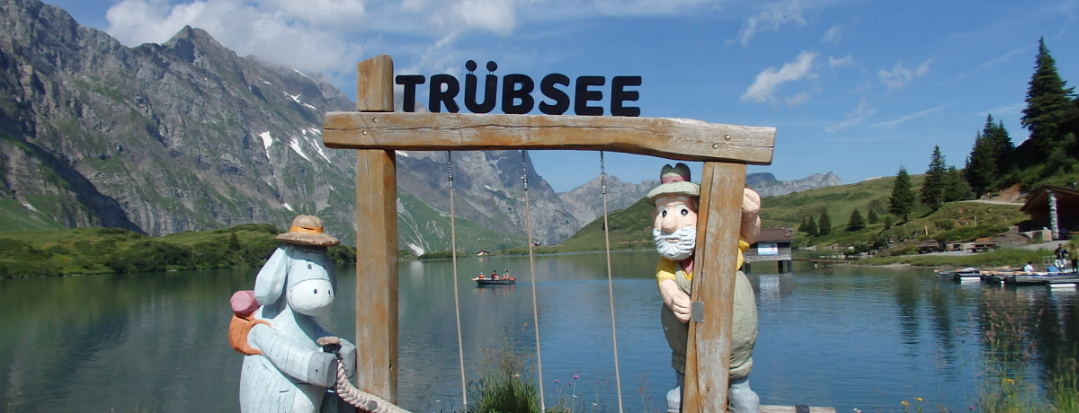 �X�C�X�E�e�B�g���X�R�̘[�u�g�����u�[�[�v�ΔȎ��ӂő厩�R�𖞋i