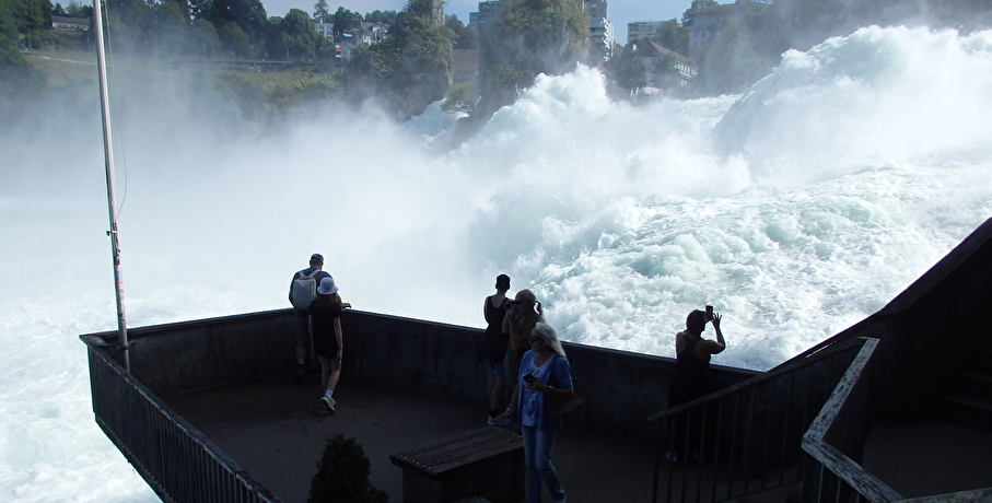 ���|����鍌���Ɣ��́I�X�C�X�u���C����v�����Ԃ��𗁂тă��t���b�V��