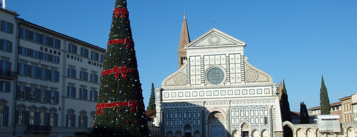 tBcFwOɌuT^E}AEmFbv͌ځI