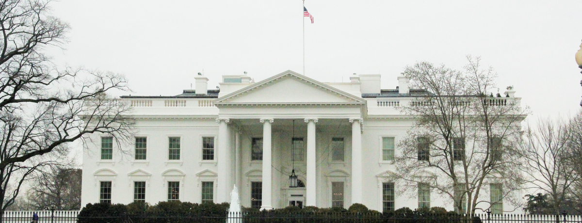 ��΂ɊO���Ȃ��I���V���g���c�b�S�̊ό������͂����I