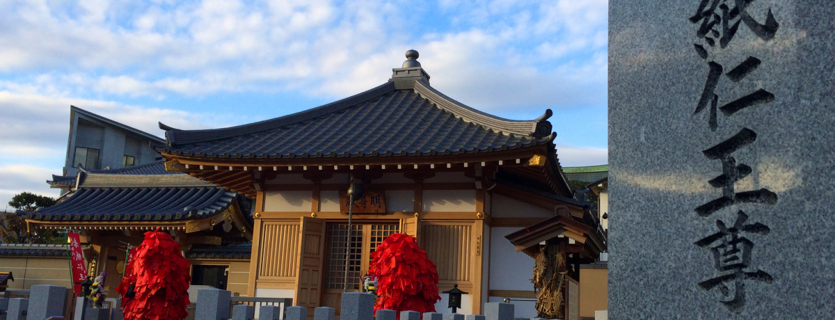 񕜂̃p[X|bgIc[Eo̐Ԏm܂ɕaCF肵悤I