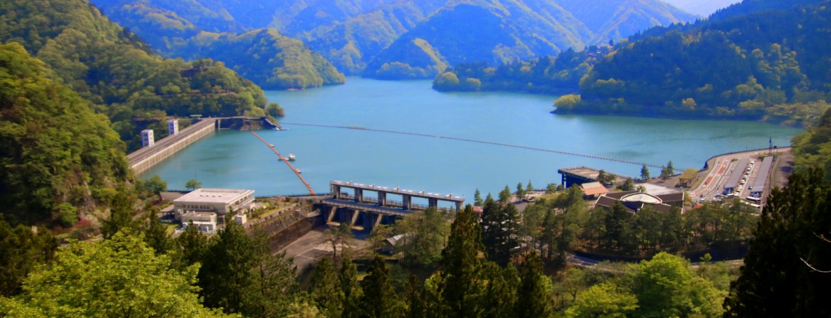 ������Cafe Indigo Blue�̓_���}�j�A�����̃p�m���}�ƃC���X�^�΂�����Ö�