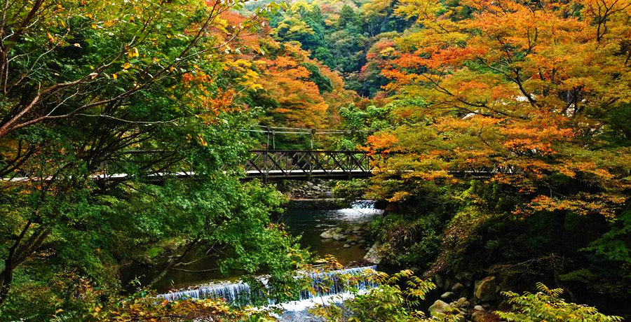 ̊ilC򗷊ك`F[g̓O[vh̃zeŁum LgZ]v