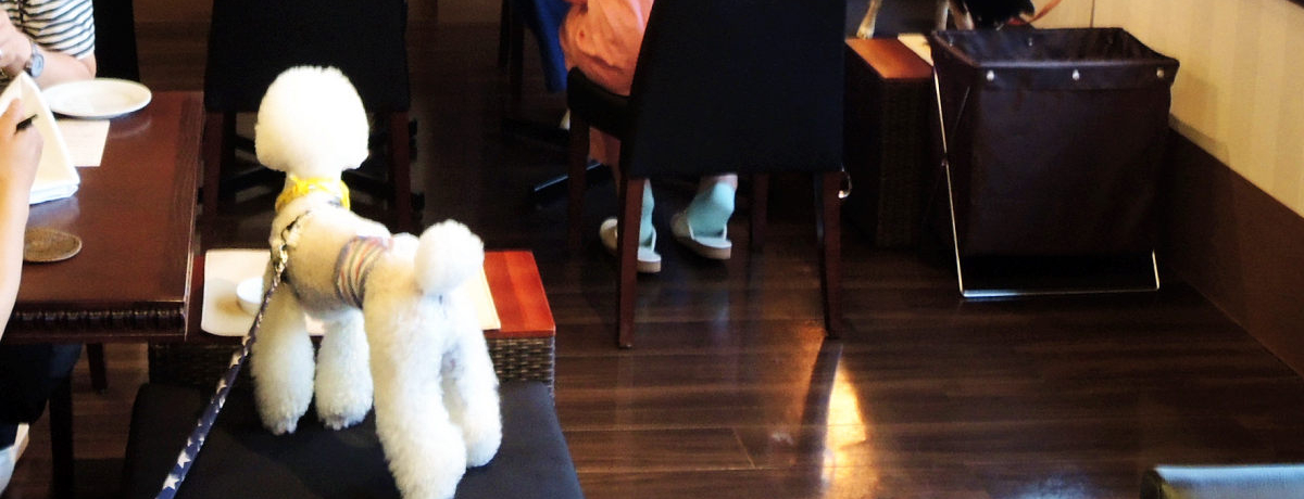 ɓ̃ڐ][guhv̓qgɂDzeI