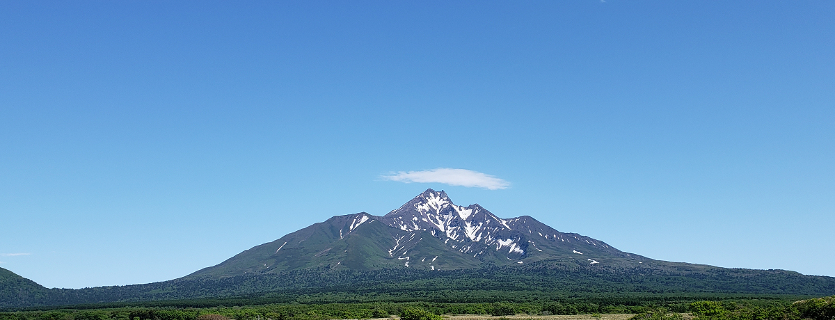 ��i�ɃO�����I���K���̖��͂𖞋i�u�A�C�����h �C�� ���V���v