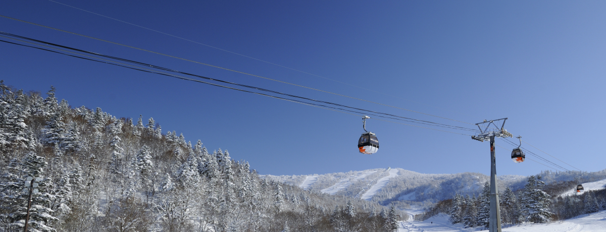 2015N12I[vIuVFgkCL][gv̓Qf̗n