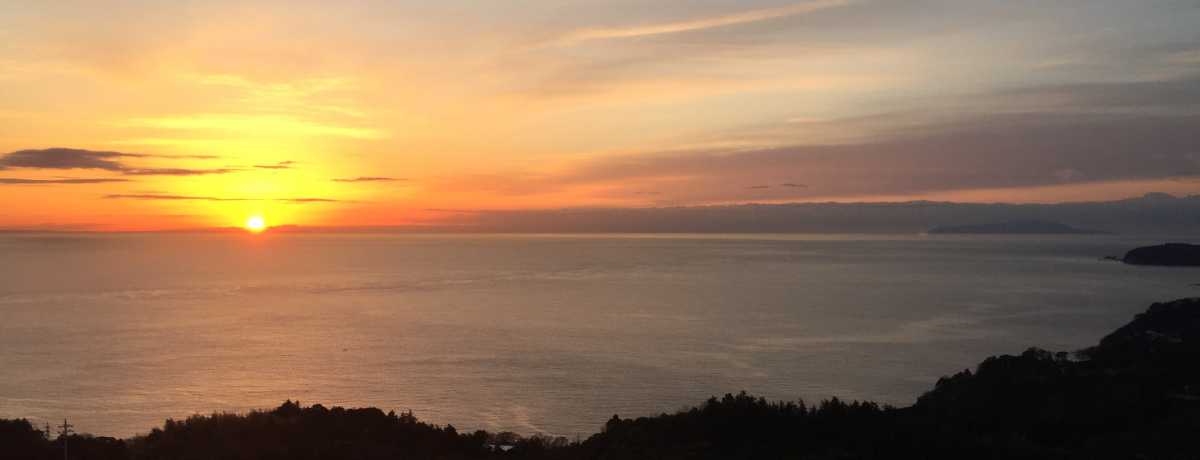 �I�O���̃f�B�i�[���I����̗��āu�q���g�����c�����]�[�g���X�p�v