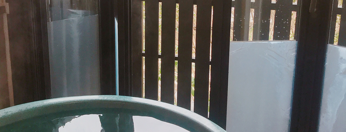 Rzx̂ސihuvŖƒnYn̐H𖞋i