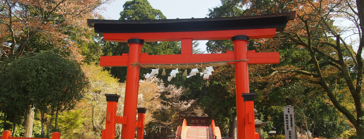 EYuRvQq͘[n߂悤IQwN_ƒ̌ǂ