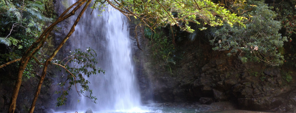 {ŐVсu^[v́A΂̃IAVX