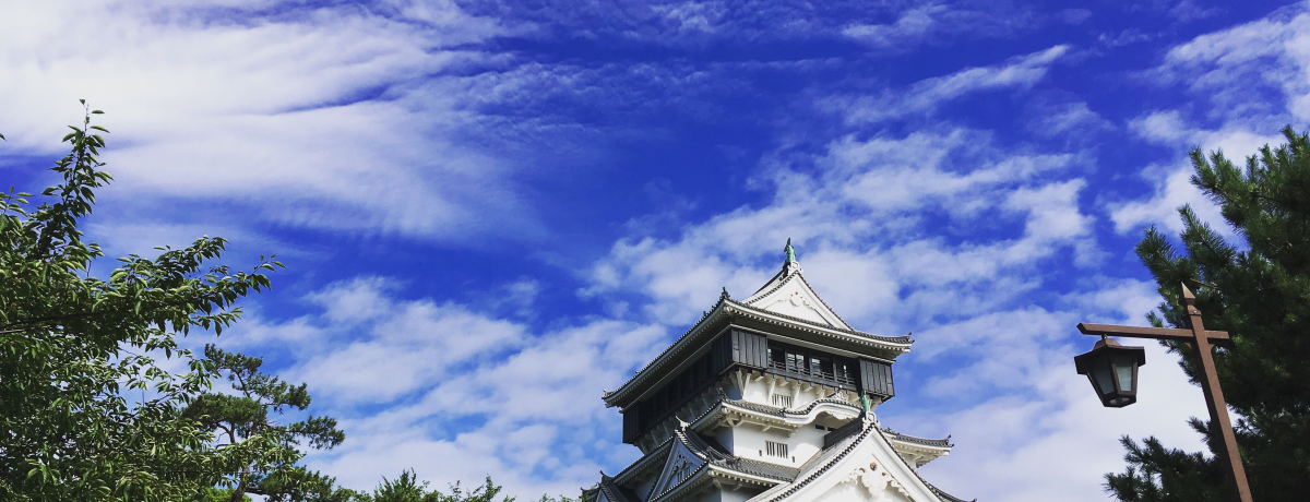 ����̑喼�����ɏ����!?���q��͖ʔ������Ċw�ׂ��