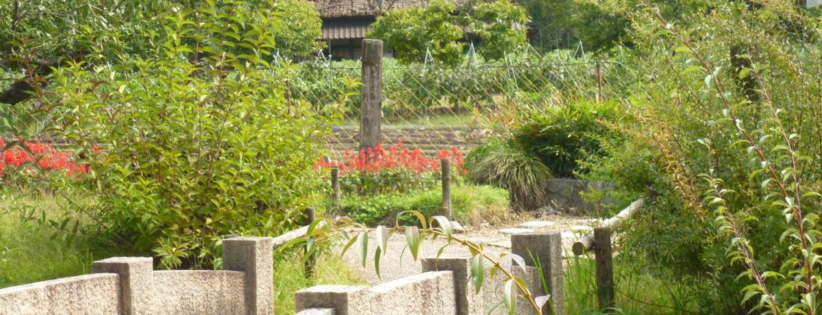 �򕌁E���{���a���ɍs���ď��a30�N��Ƀ^�C���X���b�v�I