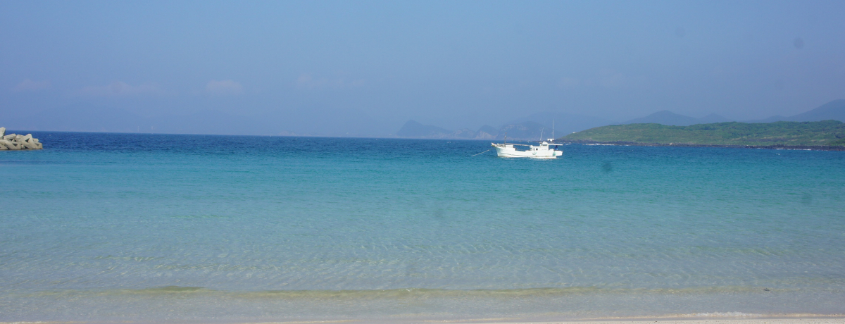 ܓ񓇂̕]Ōg̖ǂĂ݂܂񂩁H