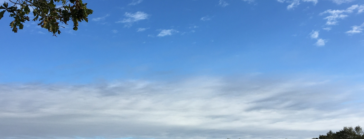 ���H�E�ߋ����̃A�E�g�h�A�h�K���̏h�u�q�b�R���[�E�B���h�v