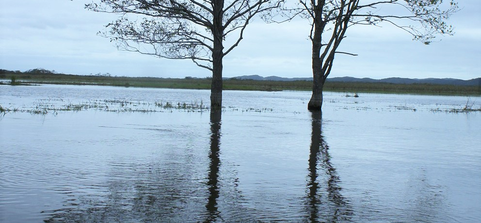 �v���̃A�E�g�h�A�K�C�h�ƍs���k�C���E���H�����J�k�[�͍ō�