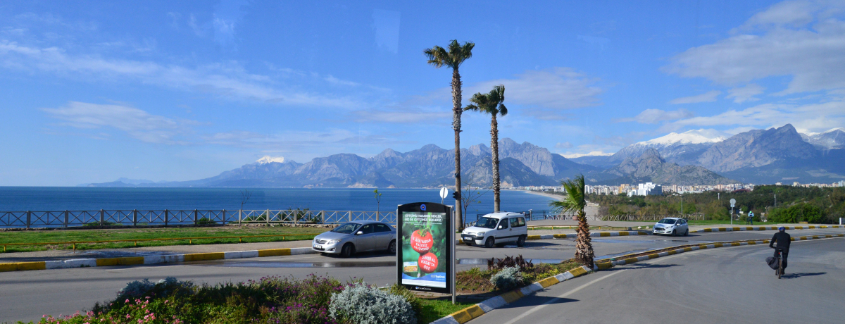 gR̐lC][gInĆuNEvUze A^v