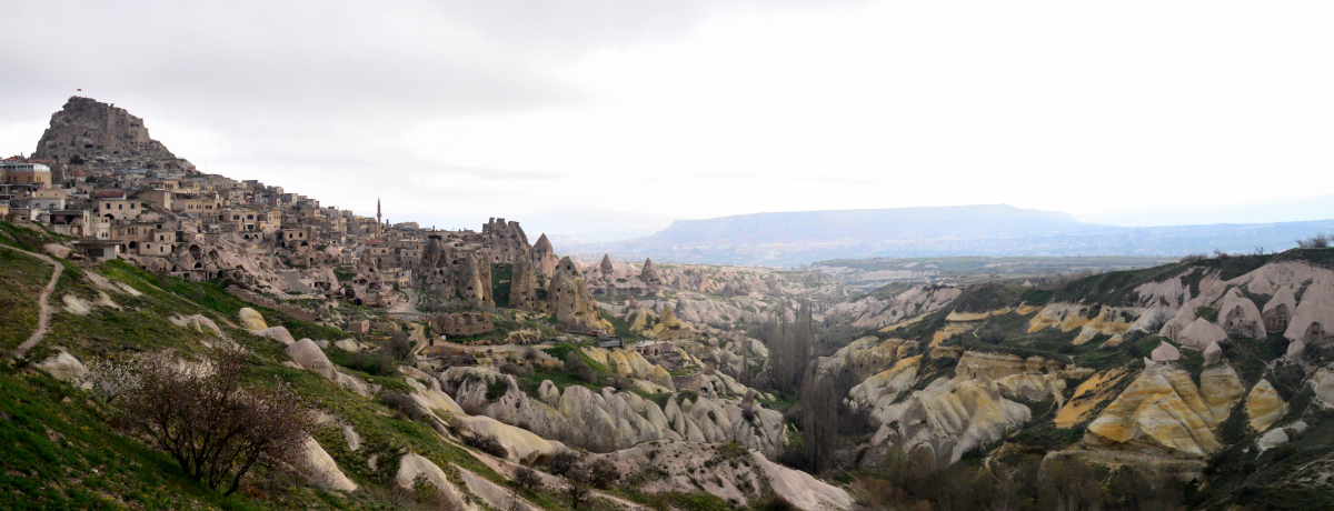 ���̒J����]�ł��铴�A�z�e���I�J�b�p�h�L�A�u�E�`�q�T�[�� �J�� �z�e���v