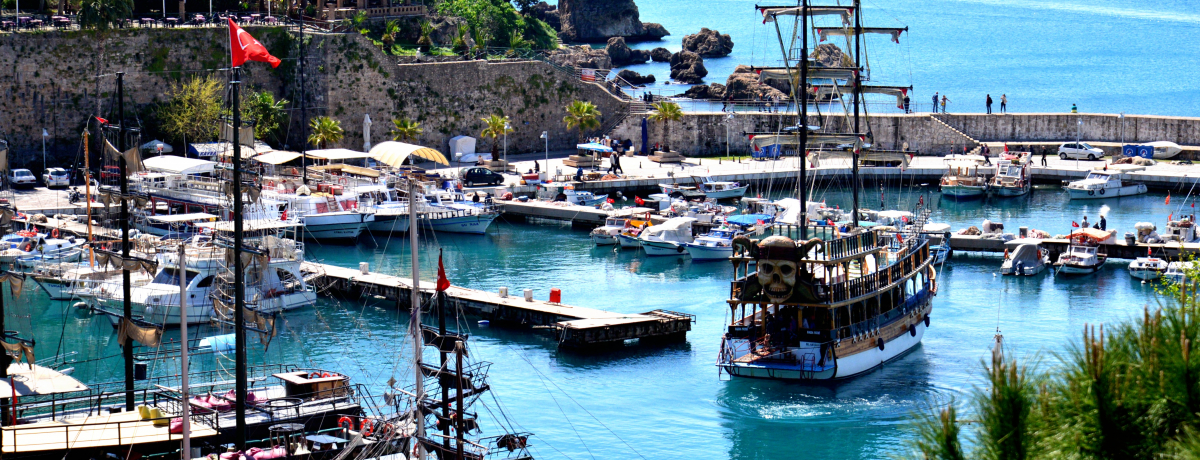 �n���C�̐��Ə����X���݁`���f�̃g���R���s�X�J���C�`