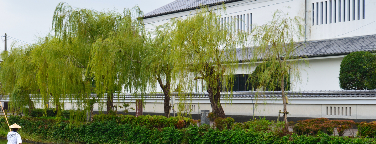 �v�炵���������l�̌̋� �@���Ɣ��ǂ̕�������u�k�����H���Ɓv