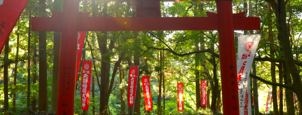 ���ς̎g���Ɋ肢���I���ɕ{�u�V�J��׎Ёv�̋��̓p���[�ŉ^�C�㏸